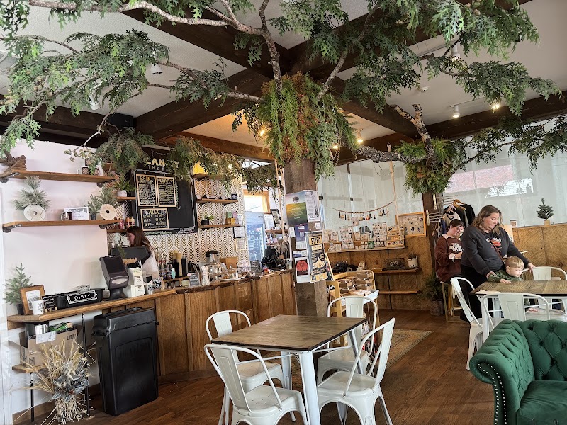 Canopy + the Roots Coffee photo 4
