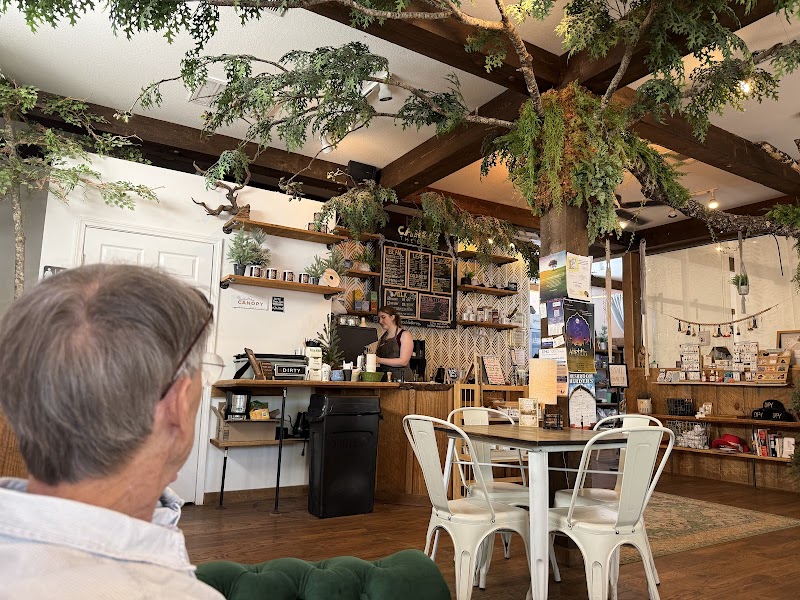 Canopy + the Roots Coffee photo 2