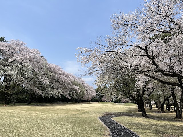 Musashi Country Club Toyooka Course - Photo 2