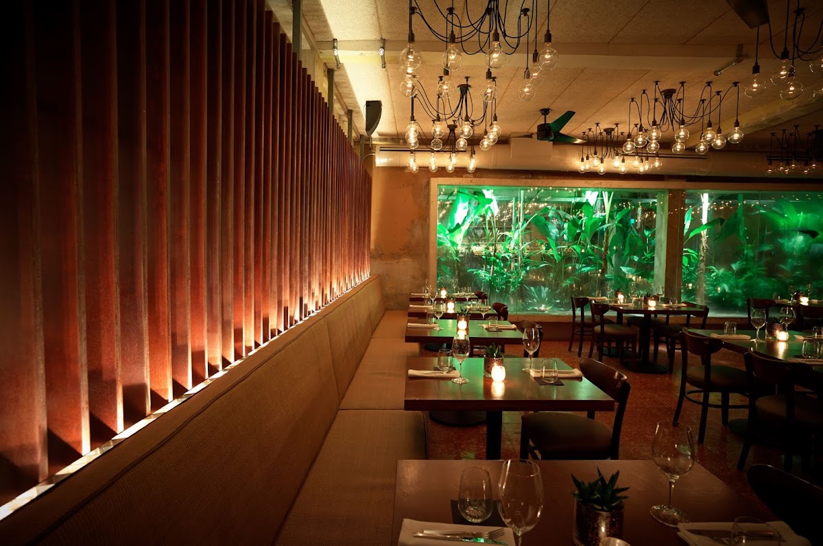 Santaella in puerto-rico