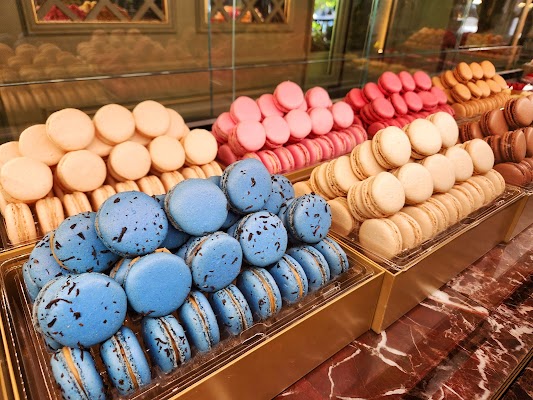 Ladurée photo 6