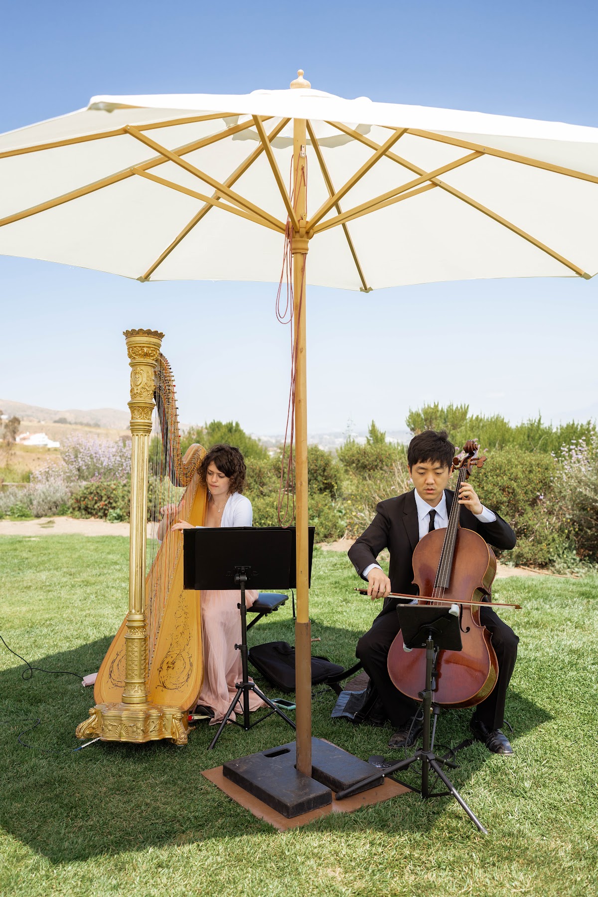 Pink Mozart Entertainment | Best Live Classical Music for Weddings & Events: Google Places image 3