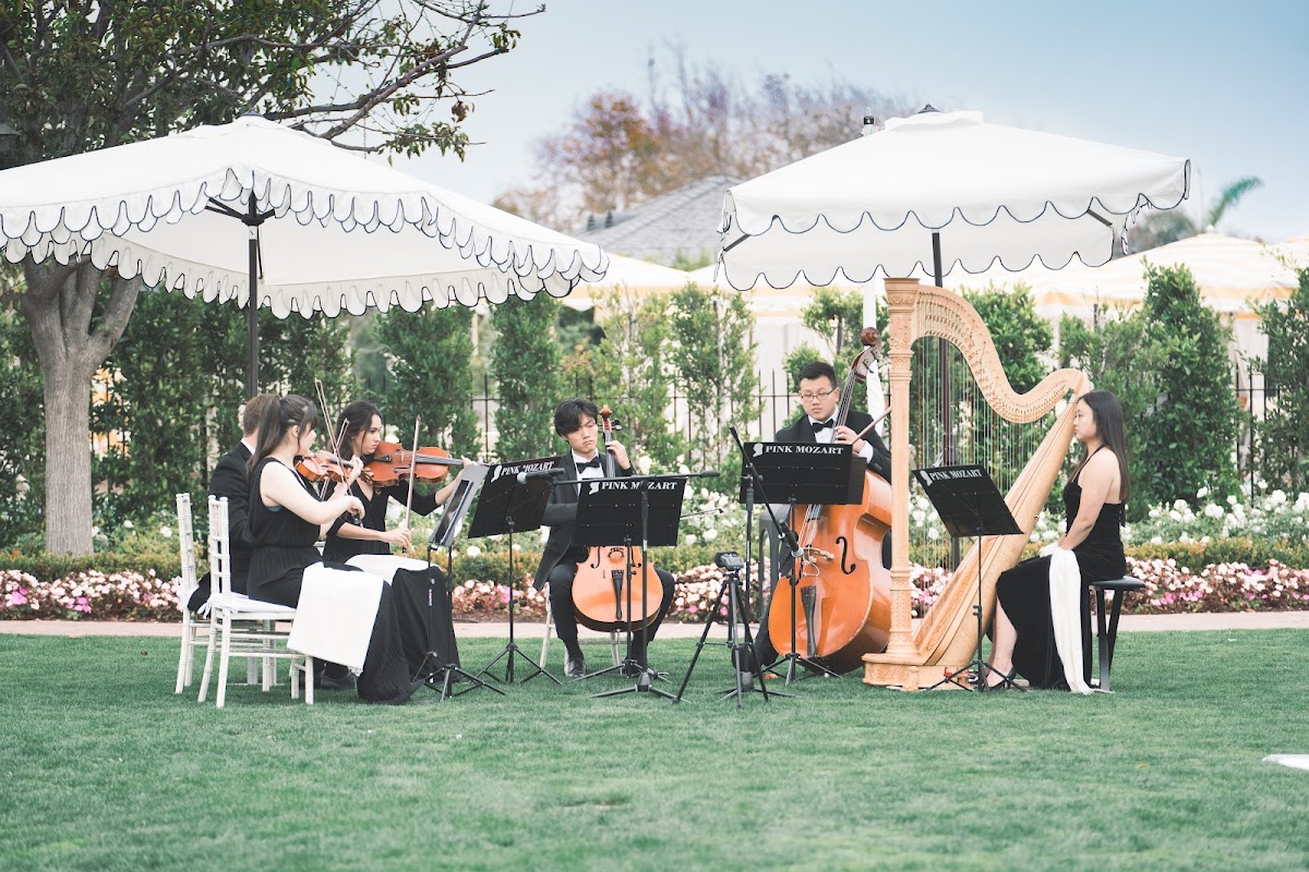 Pink Mozart Entertainment | Best Live Classical Music for Weddings & Events: Google Places image 1