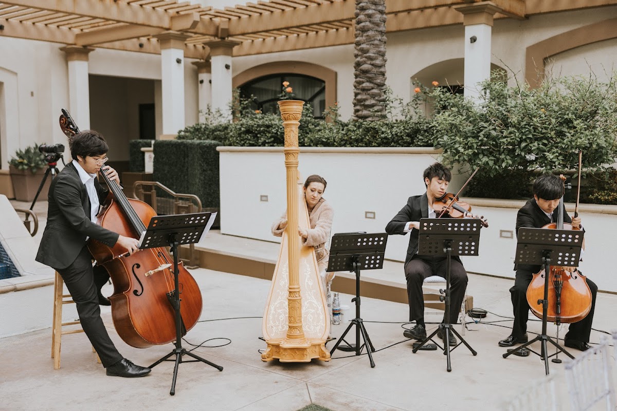 Pink Mozart Entertainment | Best Live Classical Music for Weddings & Events: Google Places image 2