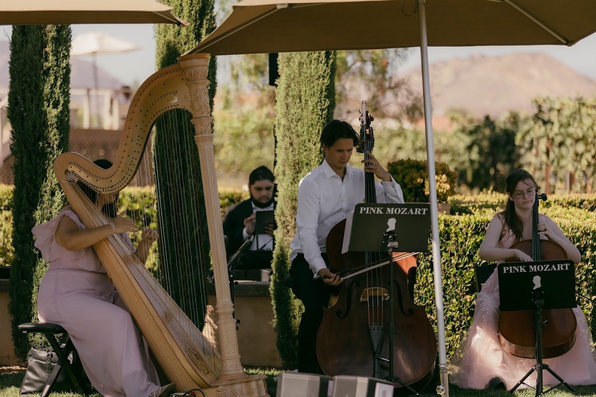 Pink Mozart Entertainment | Best Live Classical Music for Weddings & Events: Google Places image 5