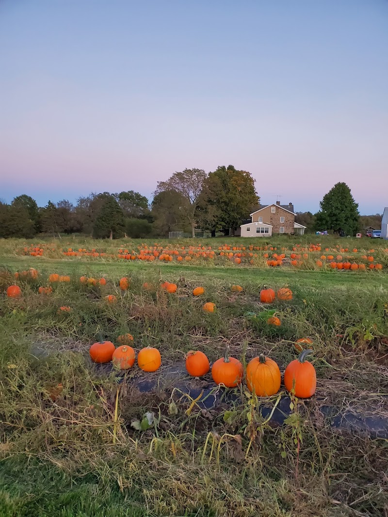 AGA Farms photo 4