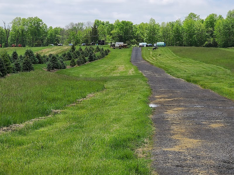 AGA Farms photo 5