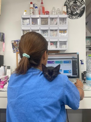 מרפאה וטרינרית vet on the road -ד"ר יסמין מדר.