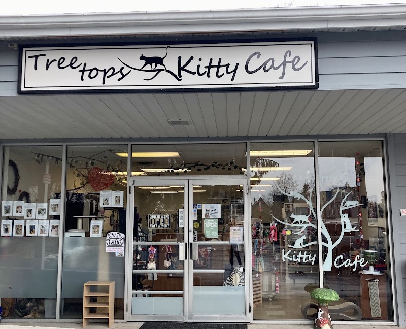 Treetops Kitty Cafe