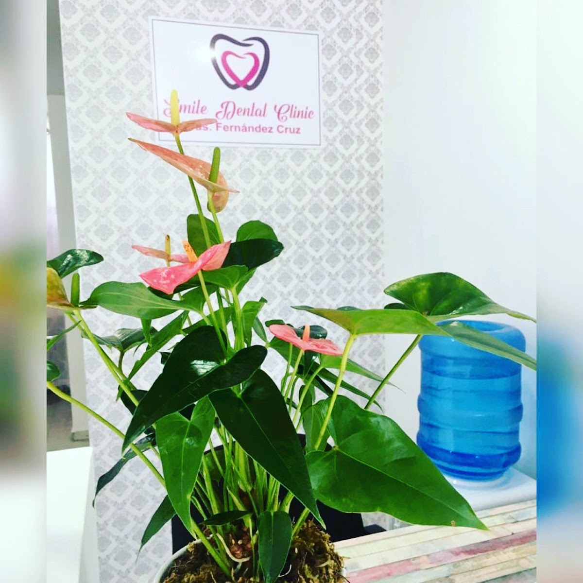 Smile Dental Clinic - Imagen 2