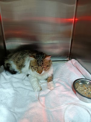 מרפאה וטרינרית בארי