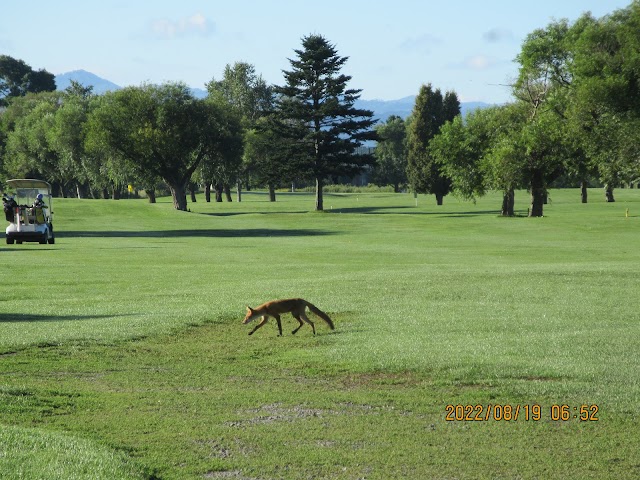 Takikawa Civic Golf Course - Photo 6