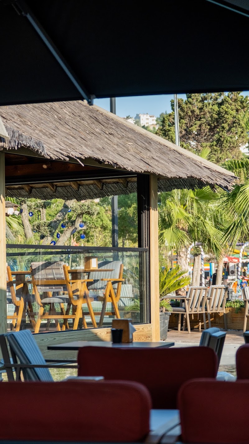 Festival Cafe - Beylikdüzü Kafe