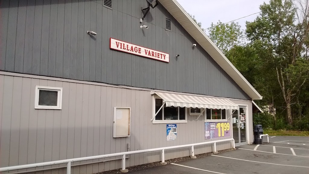 Village Variety