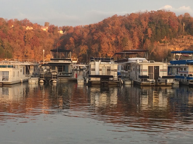 No Wake Zone Cafe photo 3