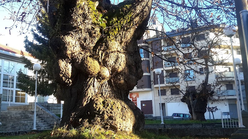 Centro de Saúde de Celanova photo 3