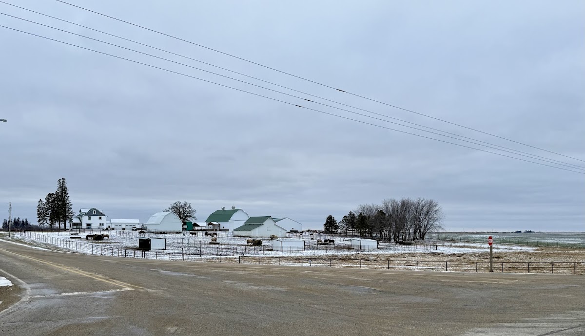 SCHMITT HORSE RANCH