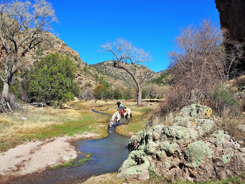 Geronimo Trail Guest Ranch - Photo 5