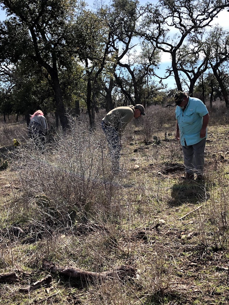 Texas Hill Country Axis Hunts - Photo 2