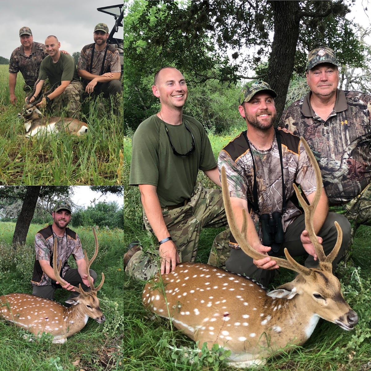 Texas Hill Country Axis Hunts