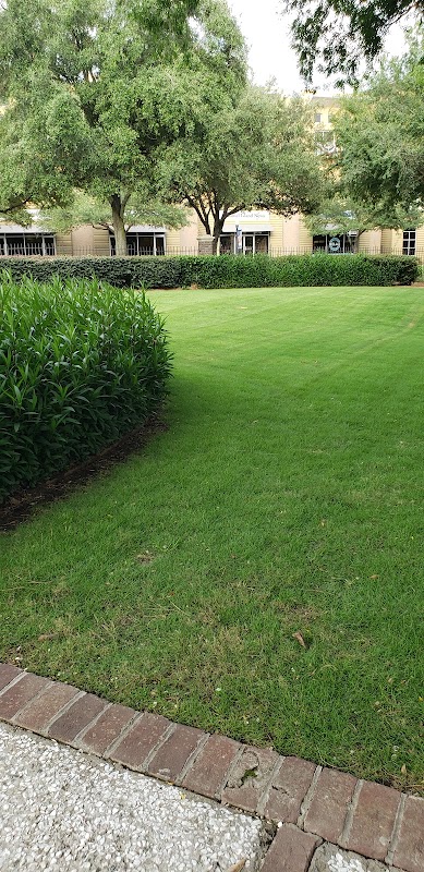 Daniel Island photo 3