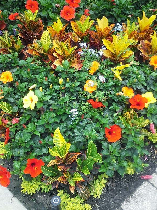 Daniel Island photo 5