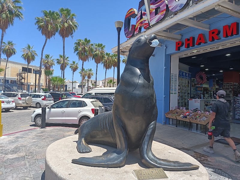 Plaza Puerto Paraiso