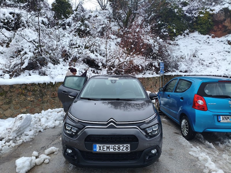 andros car hire port