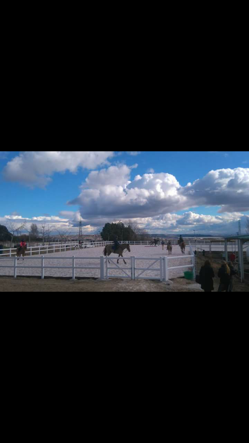 Horse Riding And Pony Club la Moraleja