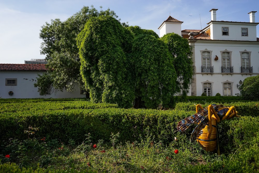 Museu de Lisboa fotoğraf 1