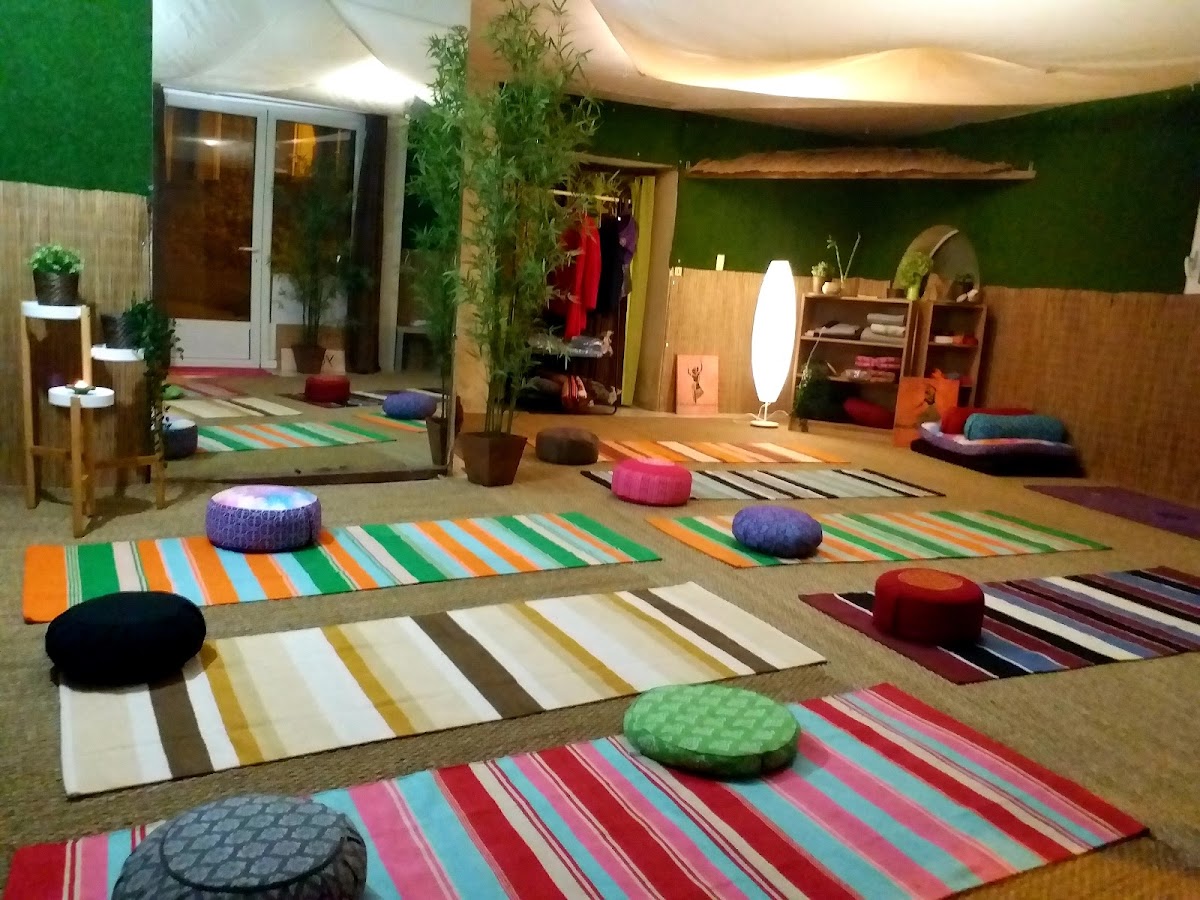 Amansha Yoga Et Ayurveda — 4