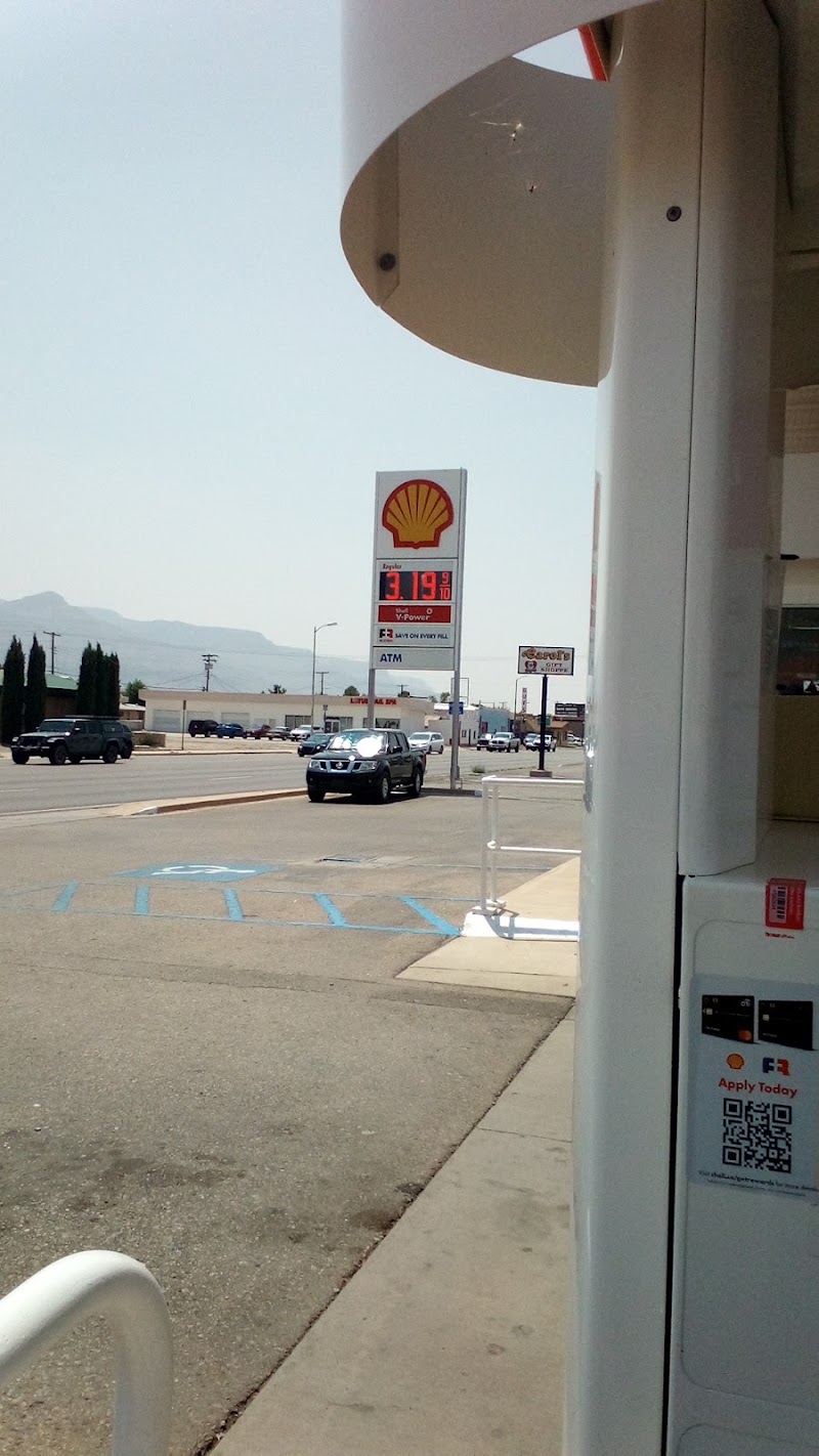 Shell photo 2