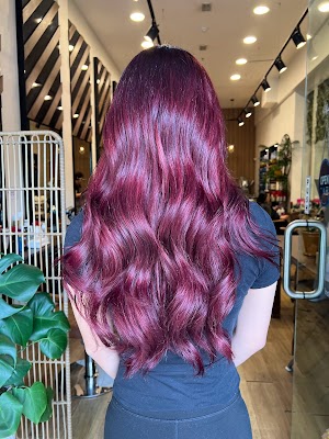 Coco D’or Hair Salon