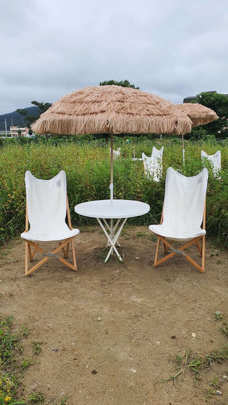 메밀라운지 반려동물 동반 카페