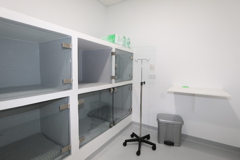 Miudiño Centro Veterinario photo 5