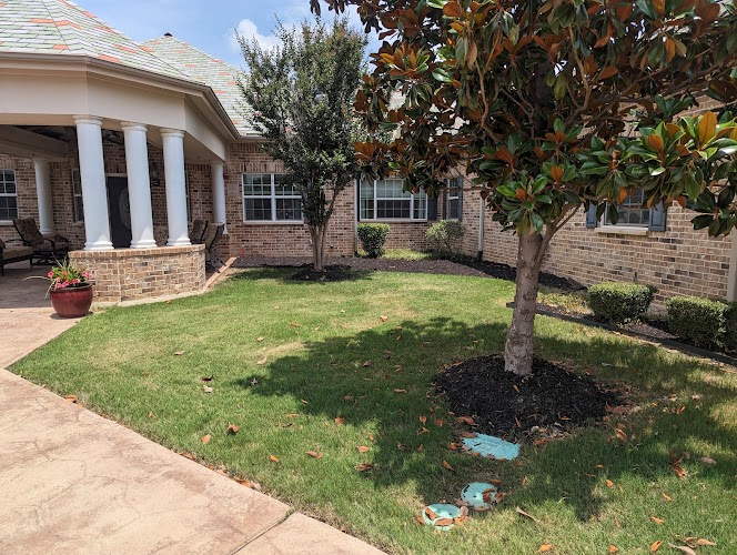 Autumn Leaves of Cityview