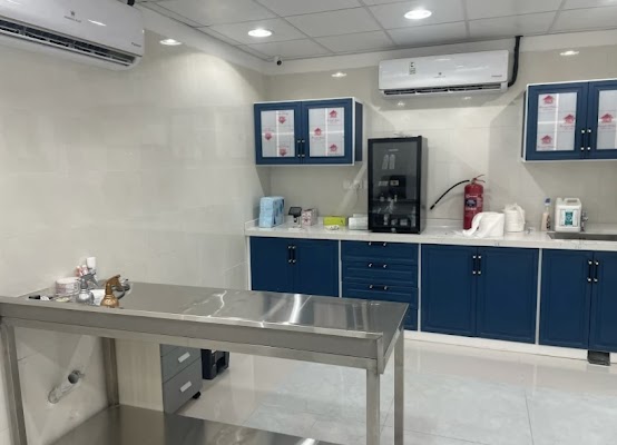 عيادة قطتي الصغيرة - KITTY CAT CLINIC "السنابل