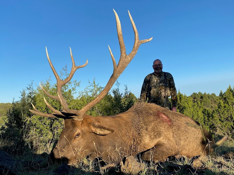 Cotton Mesa Trophy Elk Ranch - Photo 3