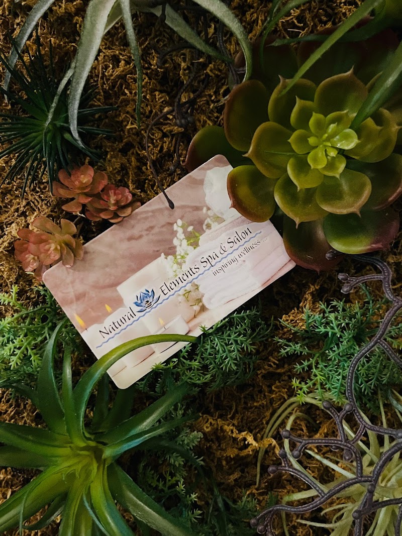 Natural Elements Spa & Salon