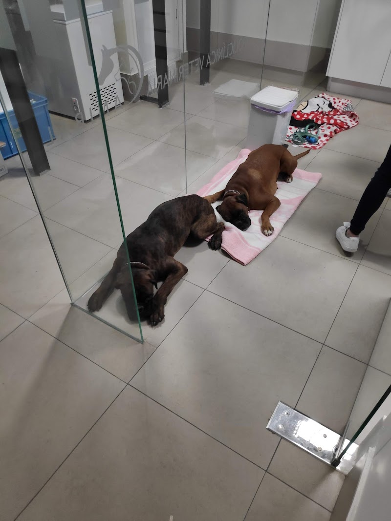 Policlínica Veterinaria "Aníbal"