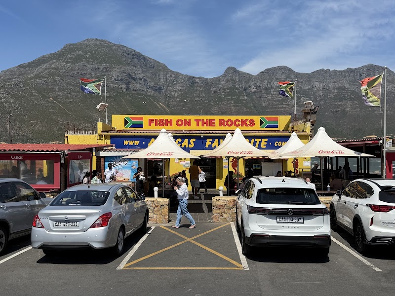 Fish on the Rocks photo 4