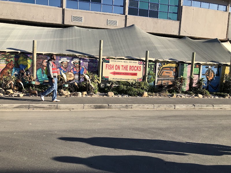 Fish on the Rocks photo 6