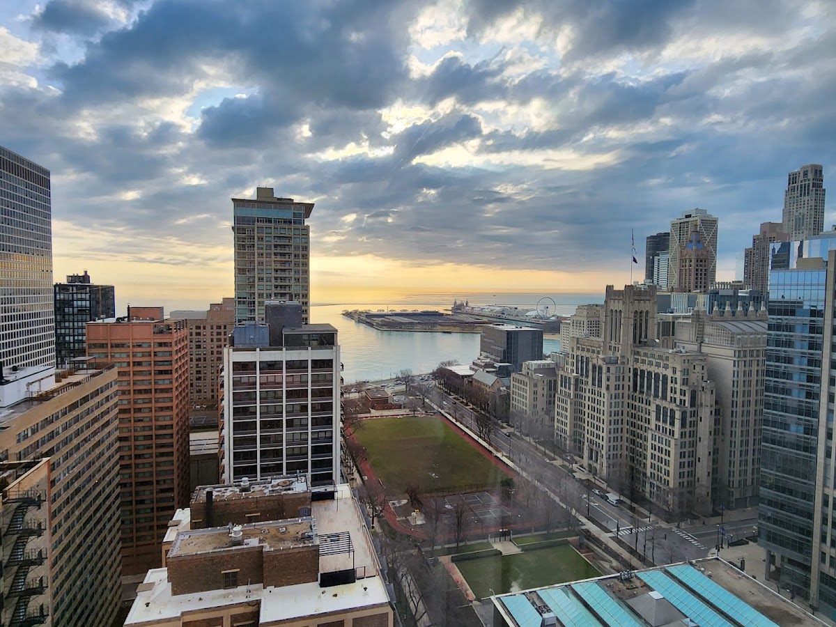 The Ritz-Carlton Chicago, dog-friendly hotel, photo 4