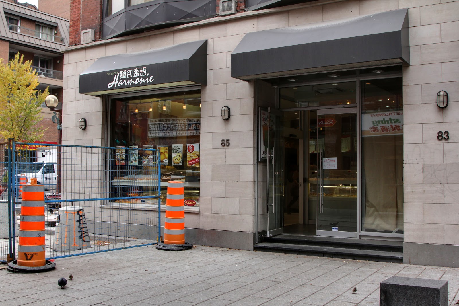 Display of various colourful macarons at Pâtisserie Harmonie