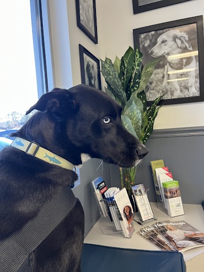 East Brainerd Animal Hospital