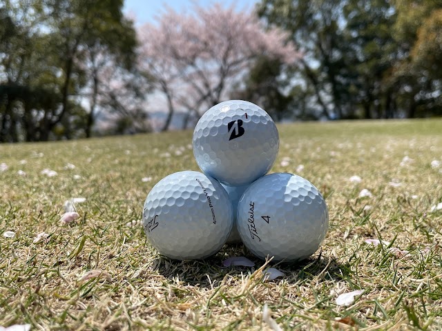 Aoyama Golf Club - Photo 8
