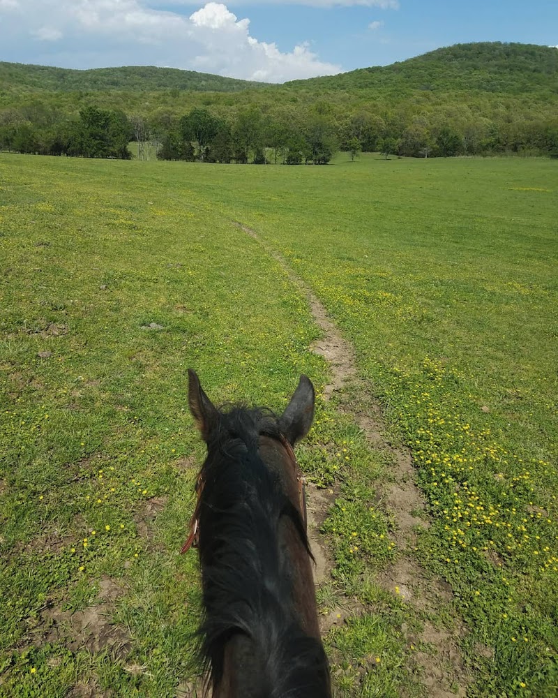 Rockin' Z Ranch - Photo 2