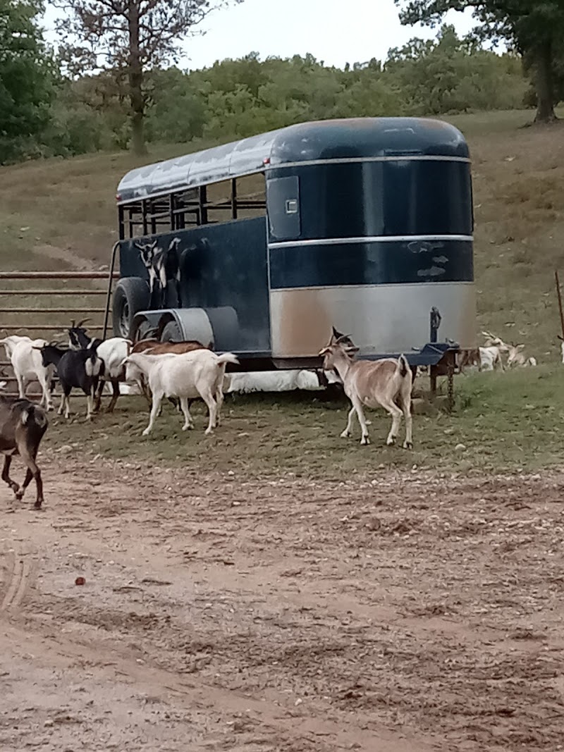 Rockin' Z Ranch - Photo 4