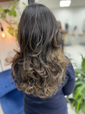 Salefied Suite Hair Salon