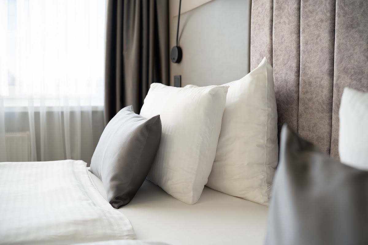 Bellevue Park Hotel Riga, dog-friendly hotel, photo 5